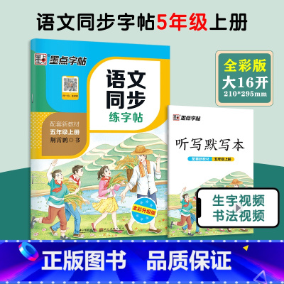 5年级上册 语文同步练字帖 小学通用 [正版]一年级二年级小学生练字帖三四五六年级字帖上册下册每日一练笔划笔顺练语文生字