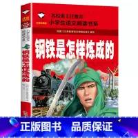 钢铁是怎样练成的 小学通用 [正版]5本20元小学生一段话作文好词好句好段小学生作文起步1-2年级儿童作文书入门注音版小