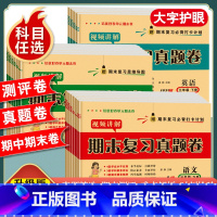 [2本套/人教版]数学试卷+数学同步练习册 一年级下 [正版]一年级二年级三年级四五六年级上册下册试卷测试卷全套人教版语
