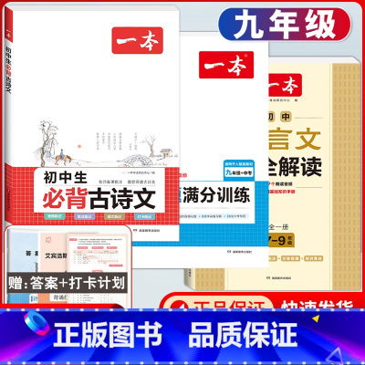中考[人教版]数学计算+文言文解读+古诗文 初中通用 [正版]2024版初中数学计算题满分训练国一八年级九年级中考人教版