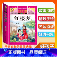 (单本)红楼梦 [正版]全套68本小学生快乐读书吧一二三四五六年级儿童文学四大名著童年安徒生格林童话朝花夕拾简爱小王子十