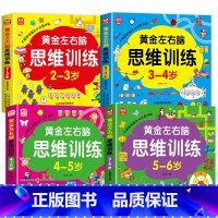 [全4册]左右脑思维训练2-6岁 [正版]全套4册 左右脑思维训练2-3-4-5-6岁幼儿益智书籍益智思维逻辑训练宝宝左