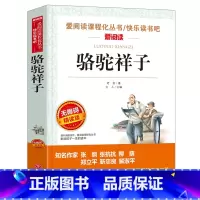 骆驼祥子 [正版]小王子书 圣埃克苏佩里原著 世界名著 四五六年级必读课外书籍 老师读物 适合儿童看的课外阅读名著图书