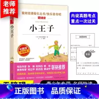 小王子 [正版]小王子书 圣埃克苏佩里原著 世界名著 四五六年级必读课外书籍 老师读物 适合儿童看的课外阅读名著图书