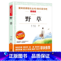 野草 [正版]全套6册 故乡狂人日记鲁迅原著 阿q正传 朝花夕拾六年级必读课外书鲁迅作品集经典全集的故乡 6年级7年级课