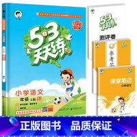 53天天练 语文 五年级下 [正版]53随堂测小学二年级三四五六年级一年级全优测试卷全套上册下册语文数学英语人教版北师版