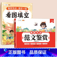 [范文+练习]看图写话范文+看图填空 小学一年级 [正版]看图写话一年级二年级每日一练范文鉴赏押题大全和例文练字帖人教小