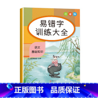 易错字训练大全 小学通用 [正版]词语积累大全训练小学生成语量词重叠词语文字词专项知识手册6册 近反义词叠词aabb式多