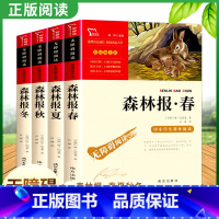 森林报全4册[套装更划算!] [正版]森林报春夏秋冬全4册 比安基着 儿童文学书籍 科普百科读物四年级阅读课外书下册书目