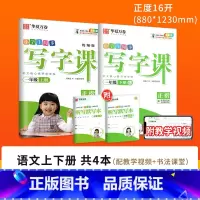 暑假衔接→1年级上下册(语文)2本 [正版]字帖写字课一二三四五六年级上册下册 下上语文英语同步练字帖一年级字帖练字小学