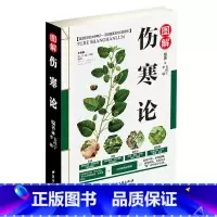 [正版]全彩图解伤寒论 解伤寒杂病论张仲景中医养生四大名著经典书籍保健养生中医入门级书 金匮要略温病条辨千金方本草 97