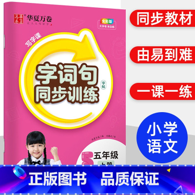 [字词句同步训练]5年级上册 [正版]一年级字帖练字二三年级小学生四五六上册下册语文同步人教版生字描红笔划笔顺练字本