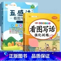[方法+练习]看图写话+看图写话强化训练 小学二年级 [正版]斗半匠五感法看图写话写作文一年级二年级上册下册写作技巧方法