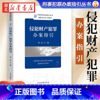 [正版]2022新 侵犯财产犯罪办案指引 刘辰 刑事犯罪办案指引丛书5 刑事办案操作指南 办案参考 刑事检察实务教程检察