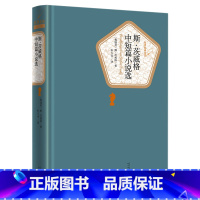 [正版]书店斯茨威格中短篇小说选 本书收入奥地利作家茨威格具有代表性的中短篇小说共16篇 名著名译丛书小说作品集文学书籍