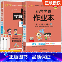 [配套练习簿★语文]学霸速记+学霸作业本 二年级上 [正版]2024新版小学学霸速记一二三四五六年级下册语文数学英语科学