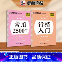 [2册]行楷套装 [正版]练字宝行楷凹槽练字帖2本装初学者入门成人硬笔书法练字本练常用字男女生字体漂亮字钢笔速成字帖学生