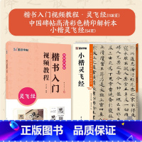 [2册]楷书教程+彩色高清 [正版]小楷灵飞经3册套装毛笔字帖初学者学生成人练字帖楷书入门基础教程附影片教学毛笔书法字帖