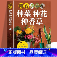 [正版]阳台种菜种花种香草彩色图案详解 花卉养护知识 养花教程花卉知识介绍种植栽培修剪指导繁殖法书籍鲜花品种介绍养护知识