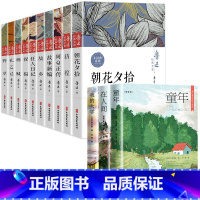 [全13册]鲁迅经典作品全集+高尔基三部曲 [正版]鲁迅全集原著10册 六七年级阅读书必课外阅读书籍朝花夕拾狂人日记故乡