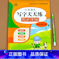 写字天天练(上册) 四年级上 [正版]四年级上册同步字帖人教版 三升四语文暑假练字帖每日一练生字写字课课练小学生钢笔临摹