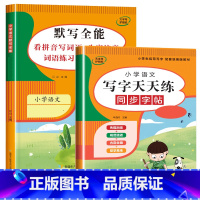 写字天天练+语文默写全能 四年级上 [正版]四年级上册同步字帖人教版 三升四语文暑假练字帖每日一练生字写字课课练小学生钢