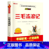 红色经典革命书籍(三毛流浪记) [正版]小兵张嘎五年级下册阅读课外书籍铁道游击队红色革命经典历史平原游击队鸡毛信三毛流浪