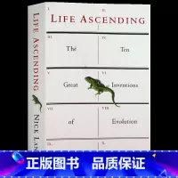 生命的跃升 [正版]英文原版 The Work of the Dead 死者的工作 人类遗骸的文化史 精装 Thomas