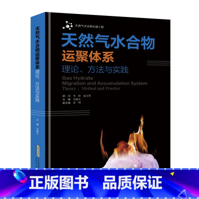 [正版]天然气水合物运聚体系 理论方法与实践 吴能友 天然气水合物勘探开发书籍 南海天然气水合物流体运移条件和水合物储集