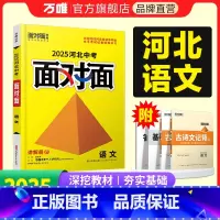 语文 河北省 [正版]2025河北语文面对面初三总复习全套资料七八九年级初三语文模拟题训练历年中真题卷辅导书资料万维教育