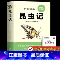 [配套人教版]昆虫记 [正版]红星照耀中国和昆虫记原著完整版 八年级上册必读名著课外书 法布尔著初二初中生课外阅读书籍西
