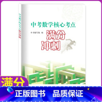 [正版]中考数学核心考点满分 冲刺 九年级全一册数学核心考点解析复习资料辅导书中学教辅 中考数学核心考点满分冲刺 上海