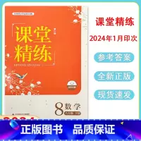 数学[2024新版] 八年级下 [正版]2024北师大版初中数学课堂精练8八年级下册同步练习册八年级课堂达标训练检测练习