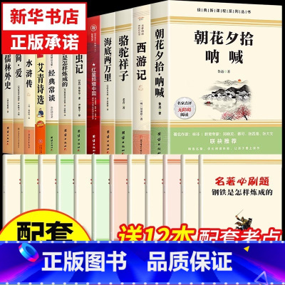 [完整版 12册]7-9年级必读名著十二本 [正版]骆驼祥子七年级必读书和海底两万里原著完整版七年级下册必读的课外书初一
