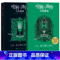 哈利波特斯莱特林学院版4-5 [正版]哈利波特20周年学院版斯莱特林平装版4-5部火焰杯凤凰社套装纪念版哈迷收藏版完整复