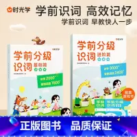 进阶篇(识词书+游戏书)全2册 [正版]时光学 注音版学前分级识词幼小衔接基础篇进阶篇幼儿园学前阅读识字识词启蒙认知学前