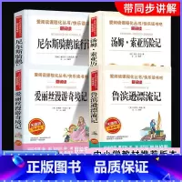 [全套4册]六年级下册必读 [正版]汤姆索亚历险记爱丽丝漫游奇境鲁滨逊漂流记尼尔斯骑鹅旅行记全套书籍六年级必读课外书快乐