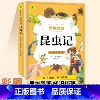 [彩图注音版]昆虫记 [正版]昆虫记注音版小学一年级二三年级原著完整版法布尔昆虫记全套适合小学生看的儿童文学书少儿经典名