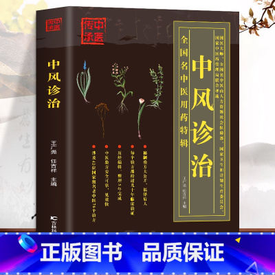 [正版]中风诊治 中医基础理论脑中风老中医验方处方临床经验 中风偏瘫康复恢复正确训练方法中草药配方治疗书籍 中医养生用