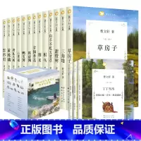曹文轩文集系列[全套17册] [正版]曹文 轩课外阅读书籍全套14册 草房子青铜葵花芦花鞋 儿童文学系列丛书获奖作品 山