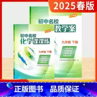 24初中名校化学教学案+课课练[沪教版] 九年级上 [正版]2025春初中名校化学教学案课课练九年级上册下册沪教版初三9