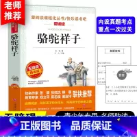 骆驼祥子 [正版]骆驼祥子含原著老舍 七年级课外书阅读青少年版初一初中学生课外阅读书籍 经典文学小说书籍世界名著无障碍精