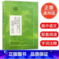 [正版]莫泊桑短篇小说选 莫泊桑著 高中语文配套阅读高中语文课外阅读书14-15-16-17岁青少年学生阅读书籍 长江