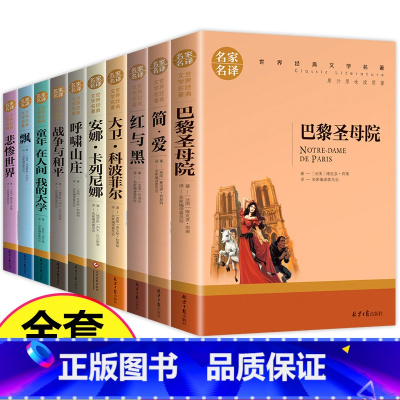 [全10册]世界十大名著 [正版]世界十大名著全套10册简爱巴黎圣母院战争与和平悲惨世界童年在人间我的大学大卫科波菲尔红