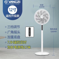 扬子(YANGZI) 新款电风扇 台地式落地扇 遥控升级款立式电扇 家用无噪办公室摇头风扇 12寸 3m电源线