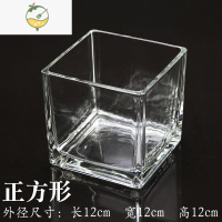 YICHENG透明水培玻璃花盆花瓶乌龟缸长方形缸 S缸 植物花器绿萝水仙 12*12正方缸