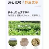 磁疗艾草护膝防寒保暖男女加长加厚款老寒腿风湿关节炎护漆