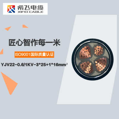 希飞牌 YJV22-0.6/1KV-3*25+1*16mm² 铜芯低压铠装电缆 联系客服 定制商品