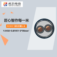 希飞牌 YJV22-0.6/1KV-2*35mm² 铜芯低压铠装电缆 元/米 联系客服 定制商品