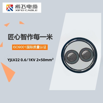 希飞牌 YJLV22-0.6/1KV-2*50mm²铝芯铠装电缆 定制商品 联系客服